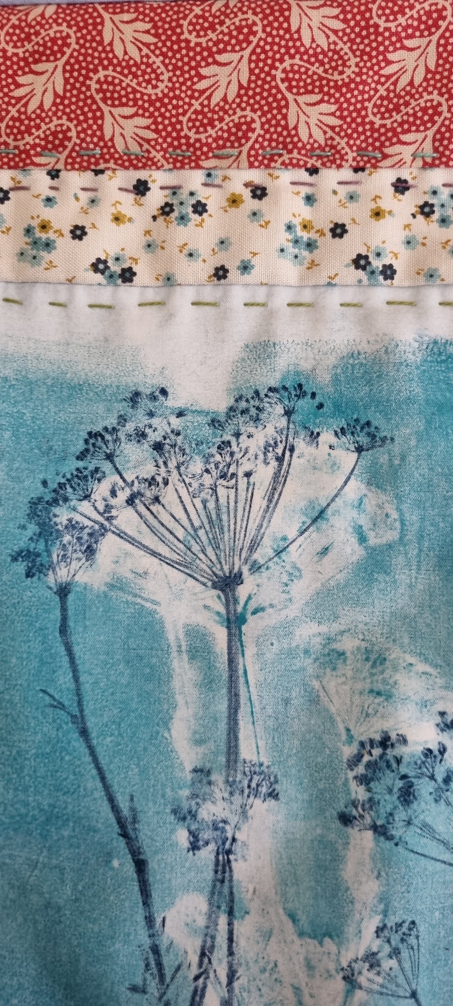 Parsley in the garden