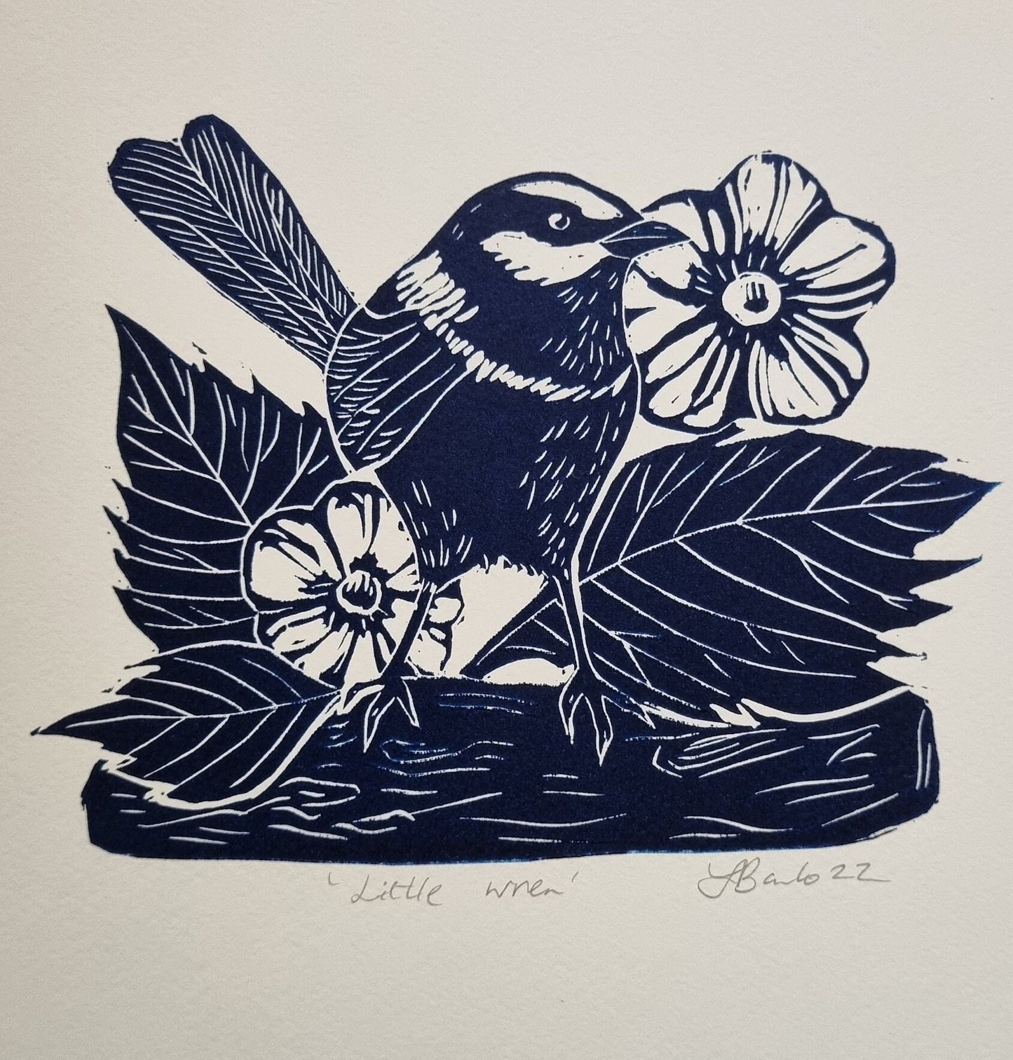 Little wren