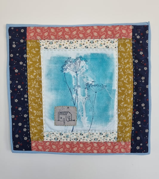 Parsley in the garden